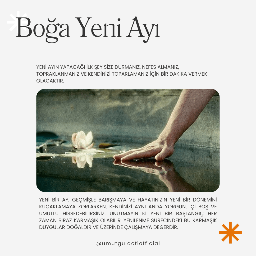 Yeni Ayın Getirdiği Yenilik: Kendinizi Toparlamanın ve Geleceğe Hazırlanmanın Zamanı