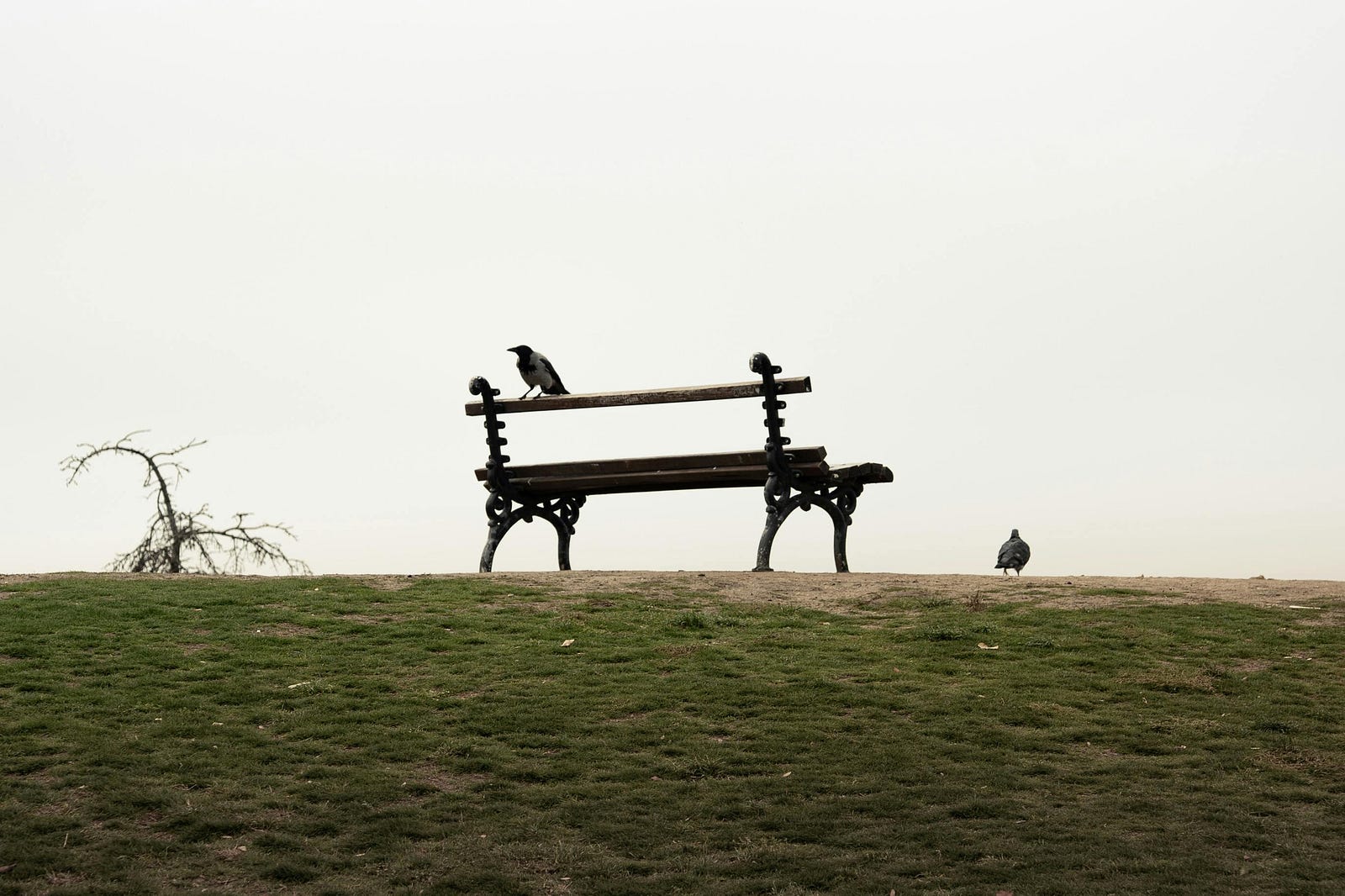 Fotoğraf: Božo Gunjajević: https://www.pexels.com/tr-tr/fotograf/35061233/ Fotoğraf: Božo Gunjajević: https://www.pexels.com/tr-tr/fotograf/35061233/