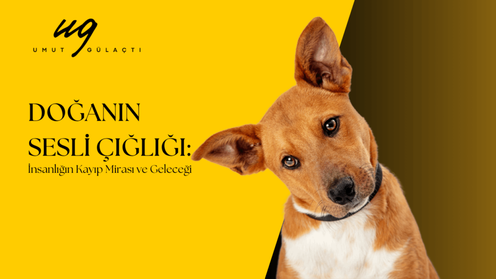 Doğanın Sesli Çığlığı İnsanlığın Kayıp Mirası ve Geleceği